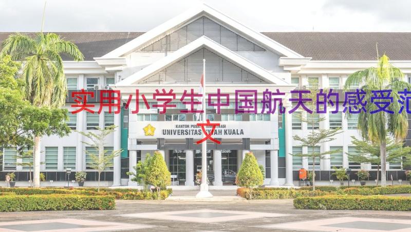 实用小学生中国航天的感受范文（17篇）