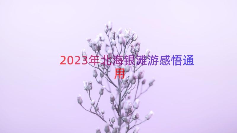 2023年北海银滩游感悟（通用19篇）