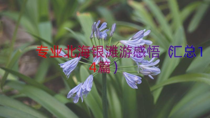 专业北海银滩游感悟（汇总14篇）