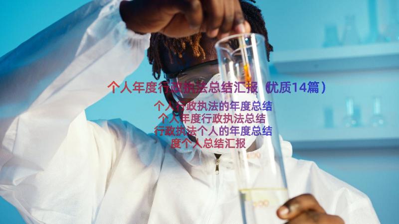 个人年度行政执法总结汇报（优质14篇）