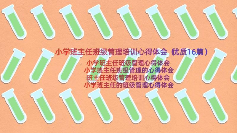 小学班主任班级管理培训心得体会（优质16篇）