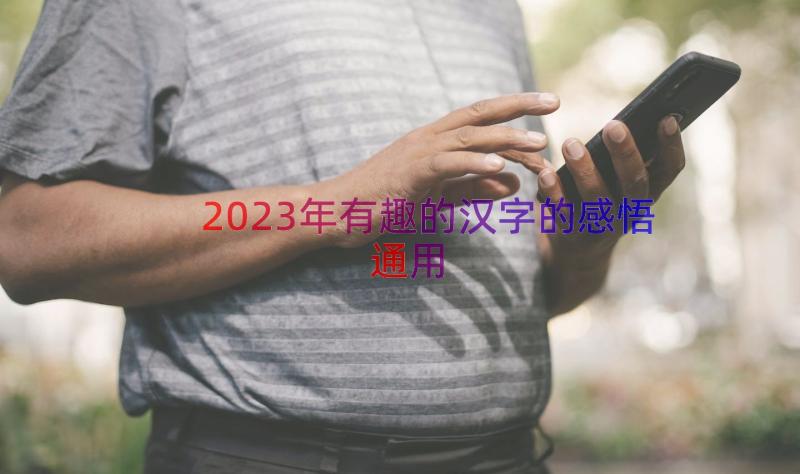 2023年有趣的汉字的感悟（通用15篇）