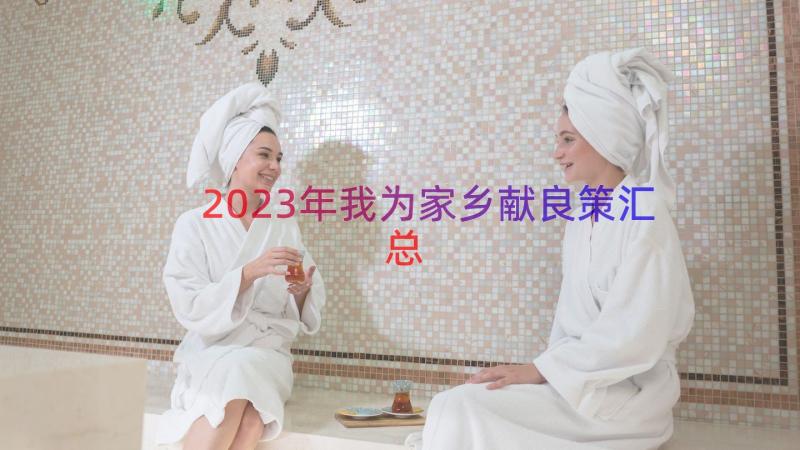 2023年我为家乡献良策（汇总13篇）