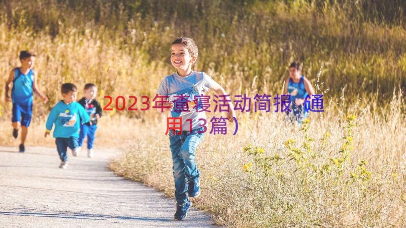 2023年查寝活动简报（通用13篇）