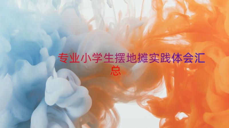 专业小学生摆地摊实践体会（汇总15篇）