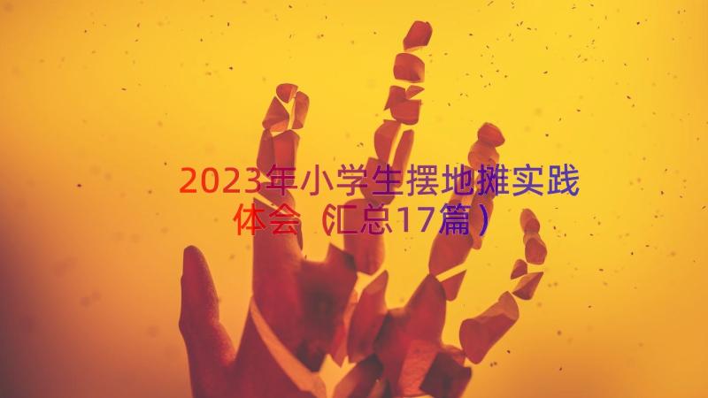 2023年小学生摆地摊实践体会（汇总17篇）