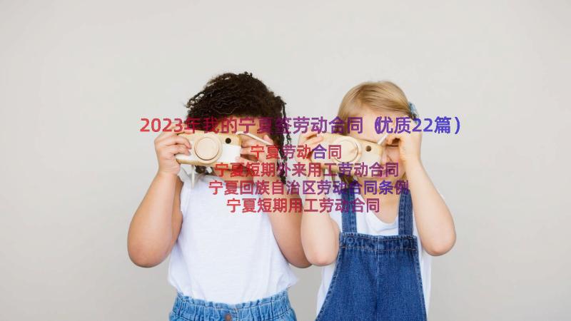 2023年我的宁夏签劳动合同（优质22篇）