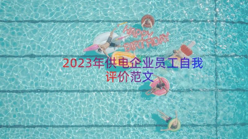 2023年供电企业员工自我评价范文（13篇）