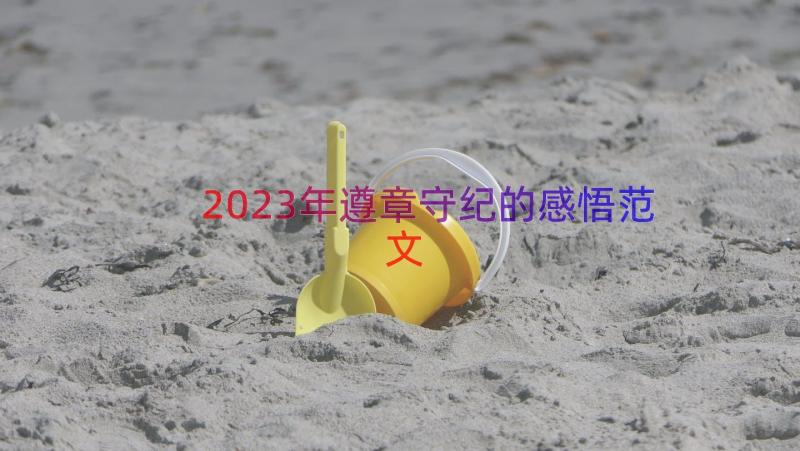 2023年遵章守纪的感悟范文（14篇）