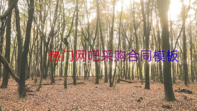 热门网吧采购合同（模板18篇）