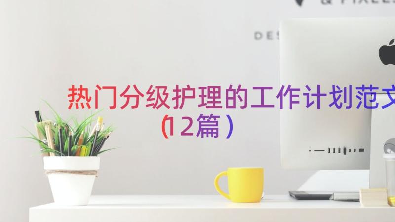 热门分级护理的工作计划范文（12篇）