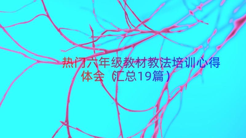 热门六年级教材教法培训心得体会（汇总19篇）