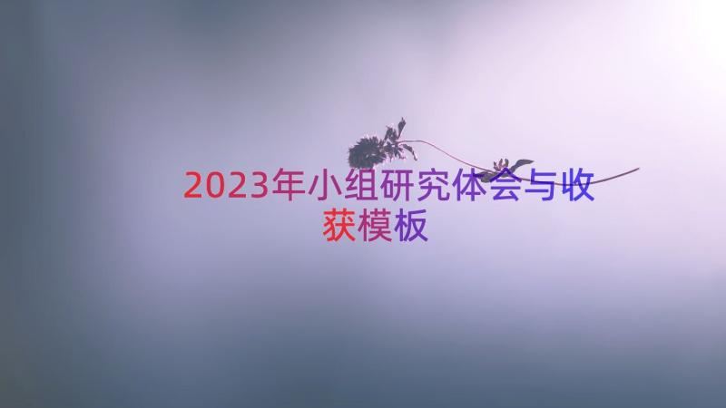 2023年小组研究体会与收获（模板16篇）