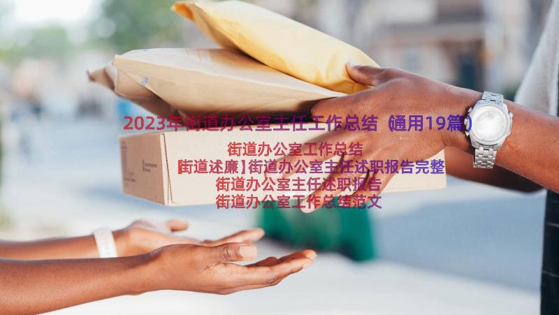 2023年街道办公室主任工作总结（通用19篇）