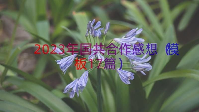 2023年国共合作感想（模板17篇）