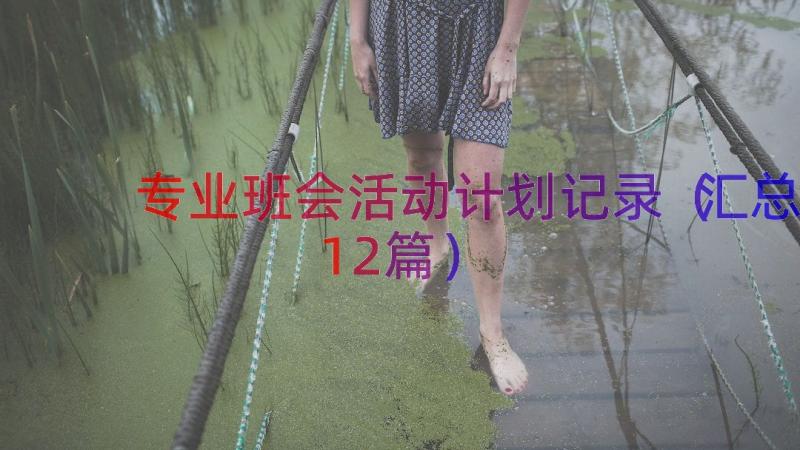 专业班会活动计划记录（汇总12篇）