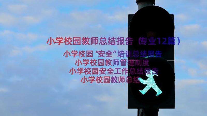 小学校园教师总结报告（专业12篇）