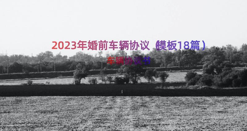 2023年婚前车辆协议（模板18篇）