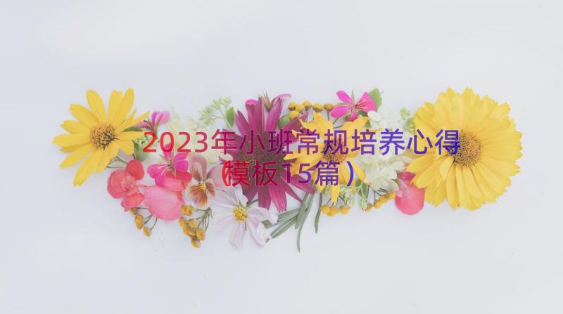 2023年小班常规培养心得（模板15篇）