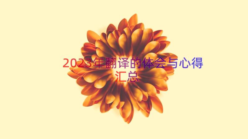 2023年翻译的体会与心得（汇总14篇）