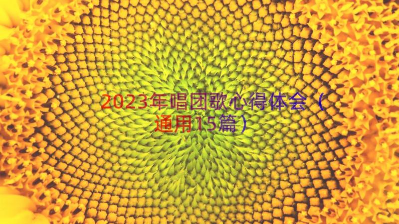 2023年唱团歌心得体会（通用15篇）