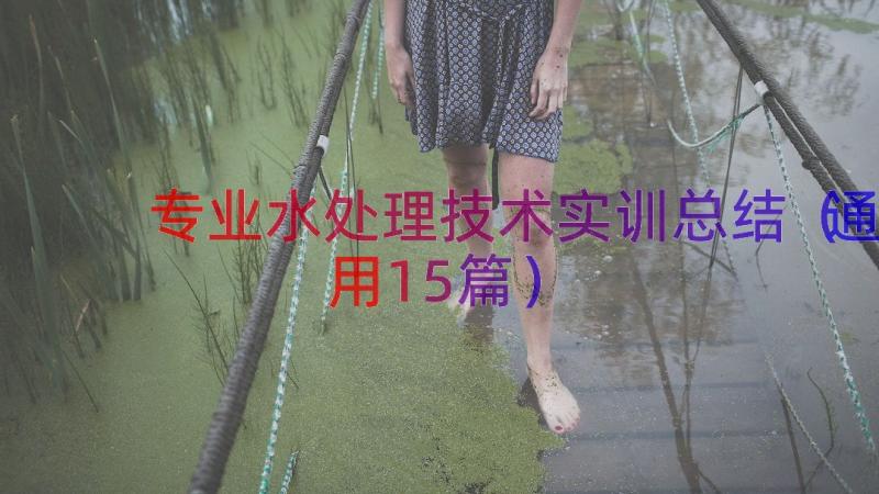 专业水处理技术实训总结（通用15篇）