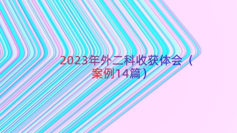 2023年外二科收获体会（案例14篇）