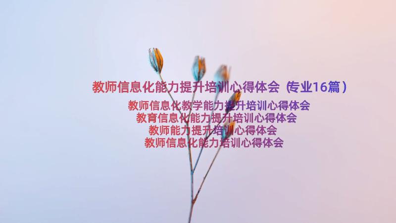 教师信息化能力提升培训心得体会（专业16篇）