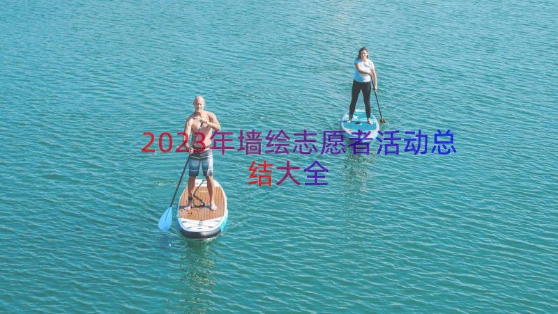 2023年墙绘志愿者活动总结大全（16篇）