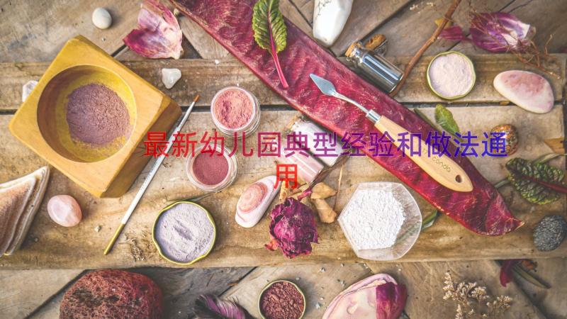 最新幼儿园典型经验和做法（通用15篇）