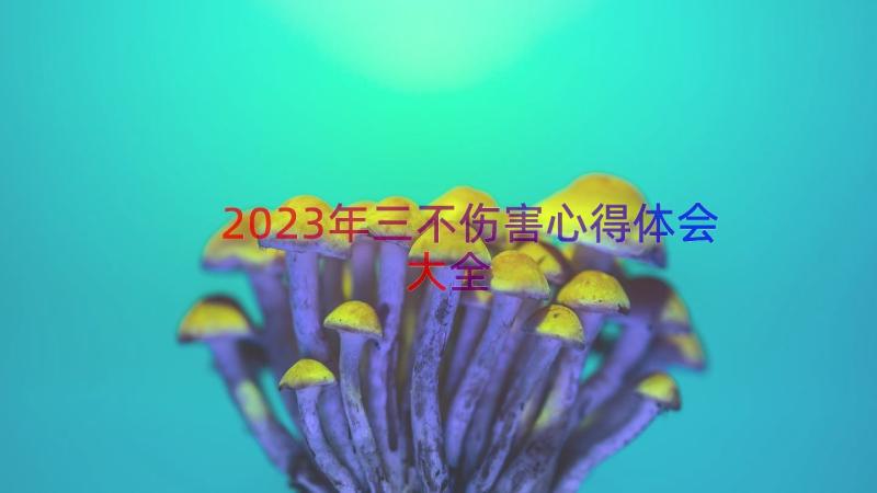 2023年三不伤害心得体会大全（16篇）