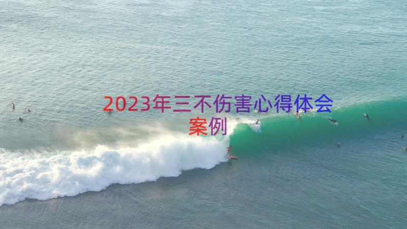 2023年三不伤害心得体会（案例13篇）