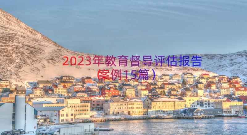 2023年教育督导评估报告案例