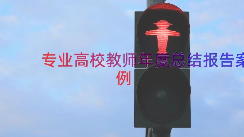 专业高校教师年度总结报告（案例16篇）