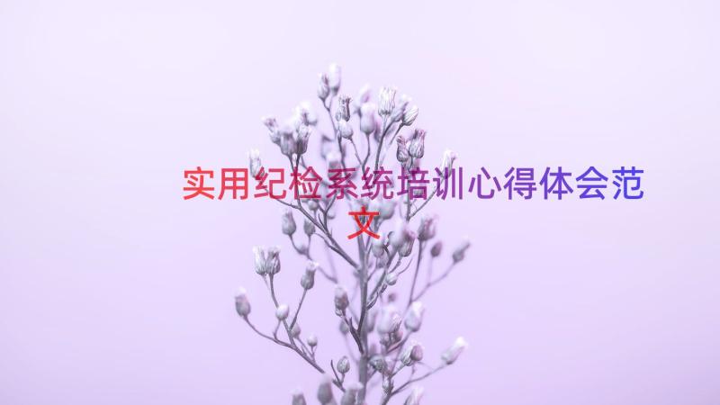 实用纪检系统培训心得体会范文（16篇）