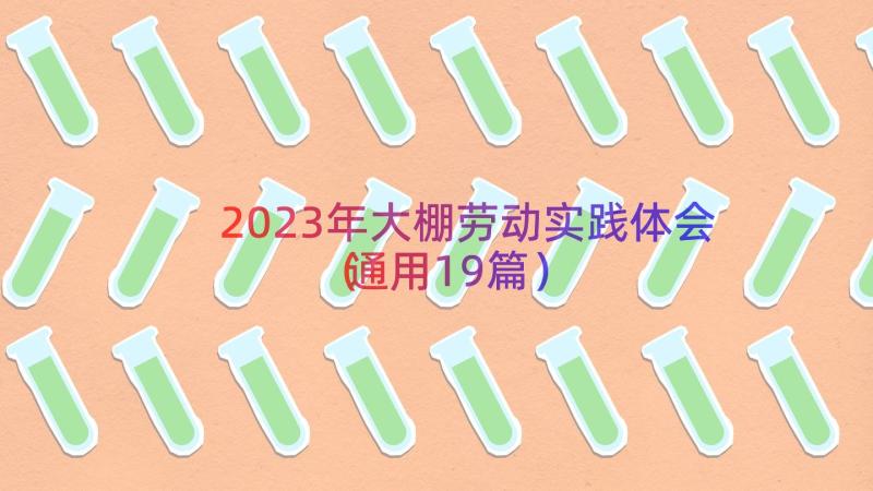 2023年大棚劳动实践体会（通用19篇）