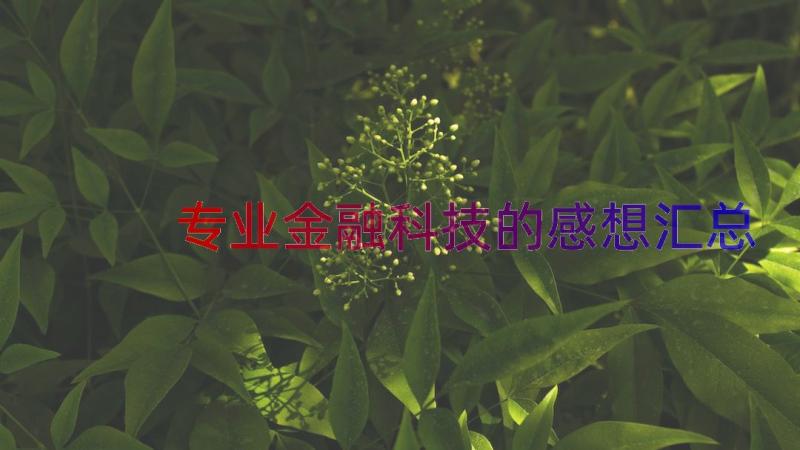 专业金融科技的感想（汇总12篇）