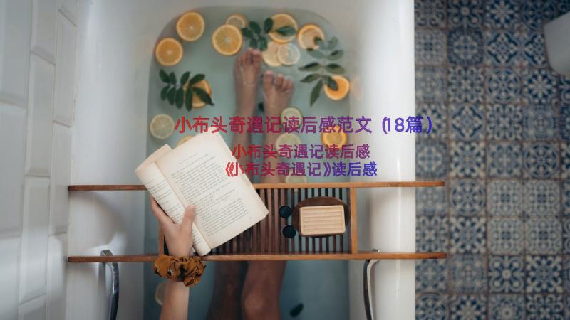 小布头奇遇记读后感范文（18篇）