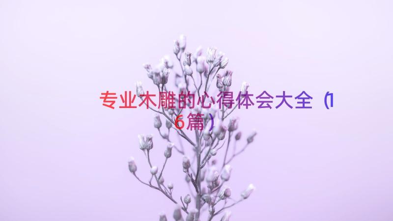 专业木雕的心得体会大全（16篇）