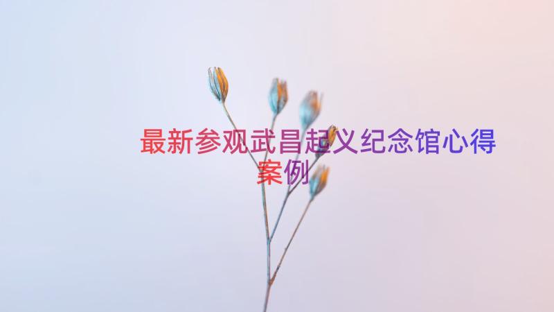 最新参观武昌起义纪念馆心得（案例12篇）