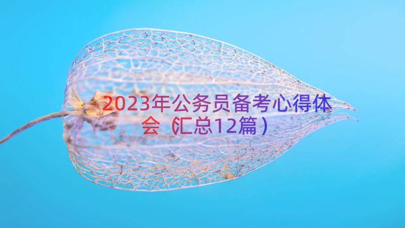 2023年公务员备考心得体会（汇总12篇）