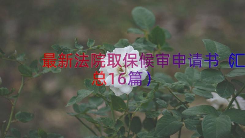 最新法院取保候审申请书（汇总16篇）