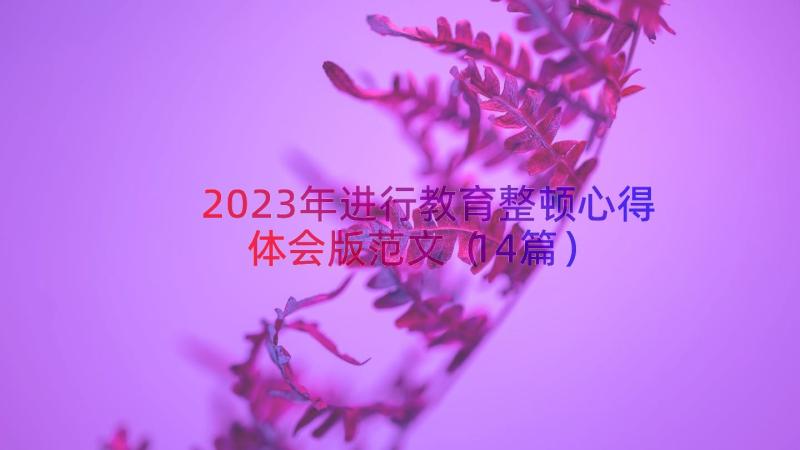 2023年进行教育整顿心得体会版范文