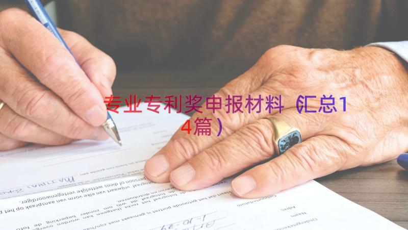 专业专利奖申报材料（汇总14篇）