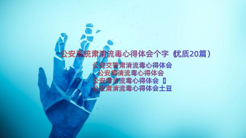 公安系统肃清流毒心得体会个字（优质20篇）