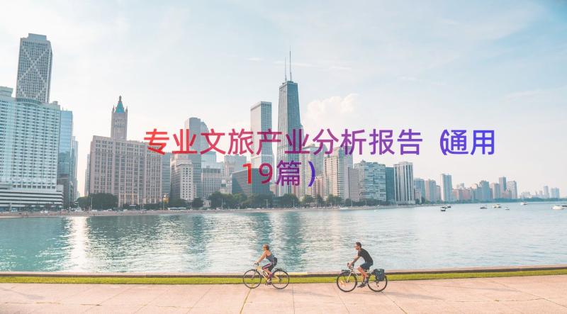 专业文旅产业分析报告（通用19篇）