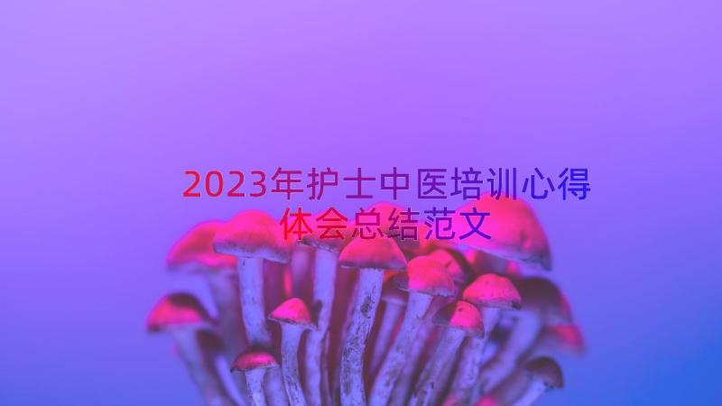 2023年护士中医培训心得体会总结范文（18篇）