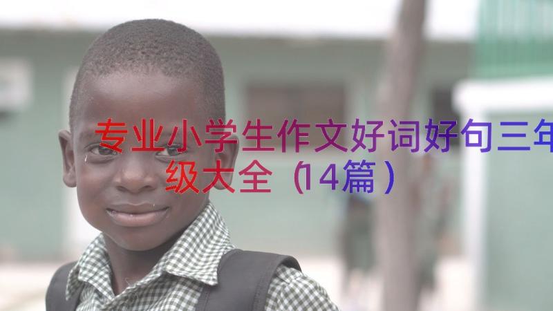 专业小学生作文好词好句三年级大全（14篇）