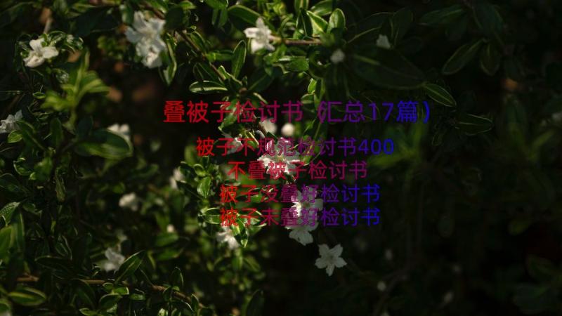 叠被子检讨书（汇总17篇）