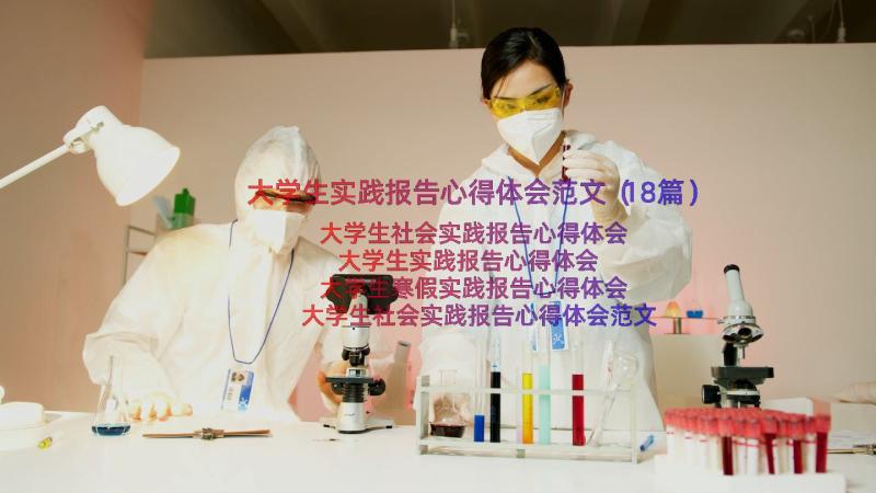 大学生实践报告心得体会范文（18篇）